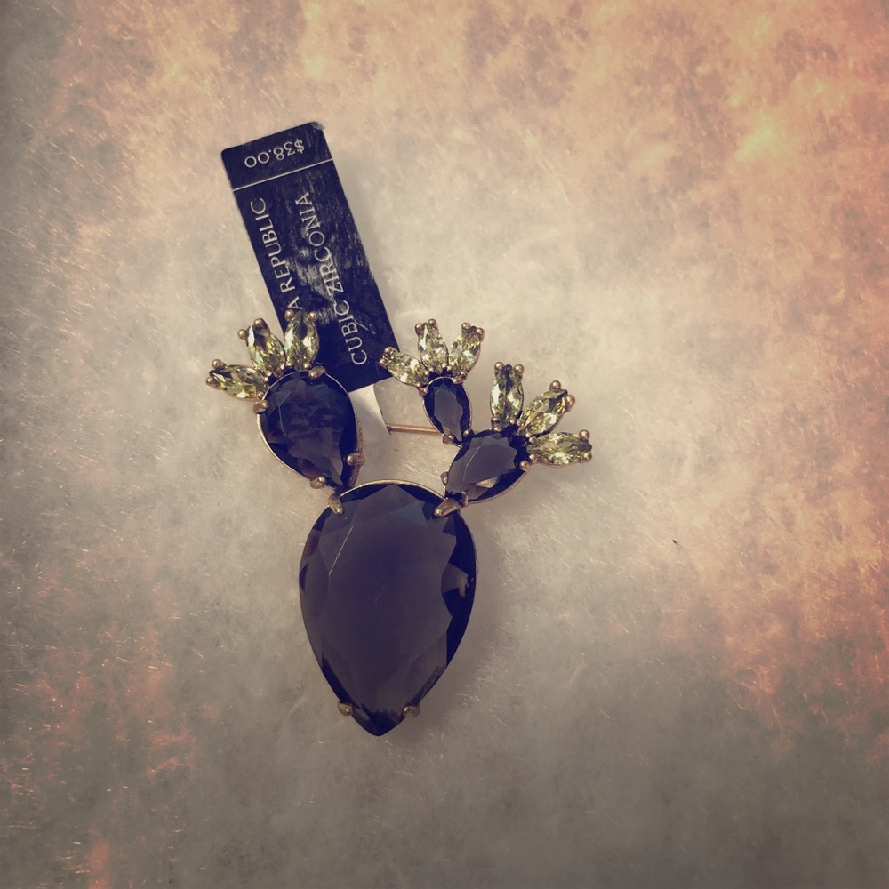 Cactus brooch